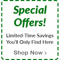 Special Offers