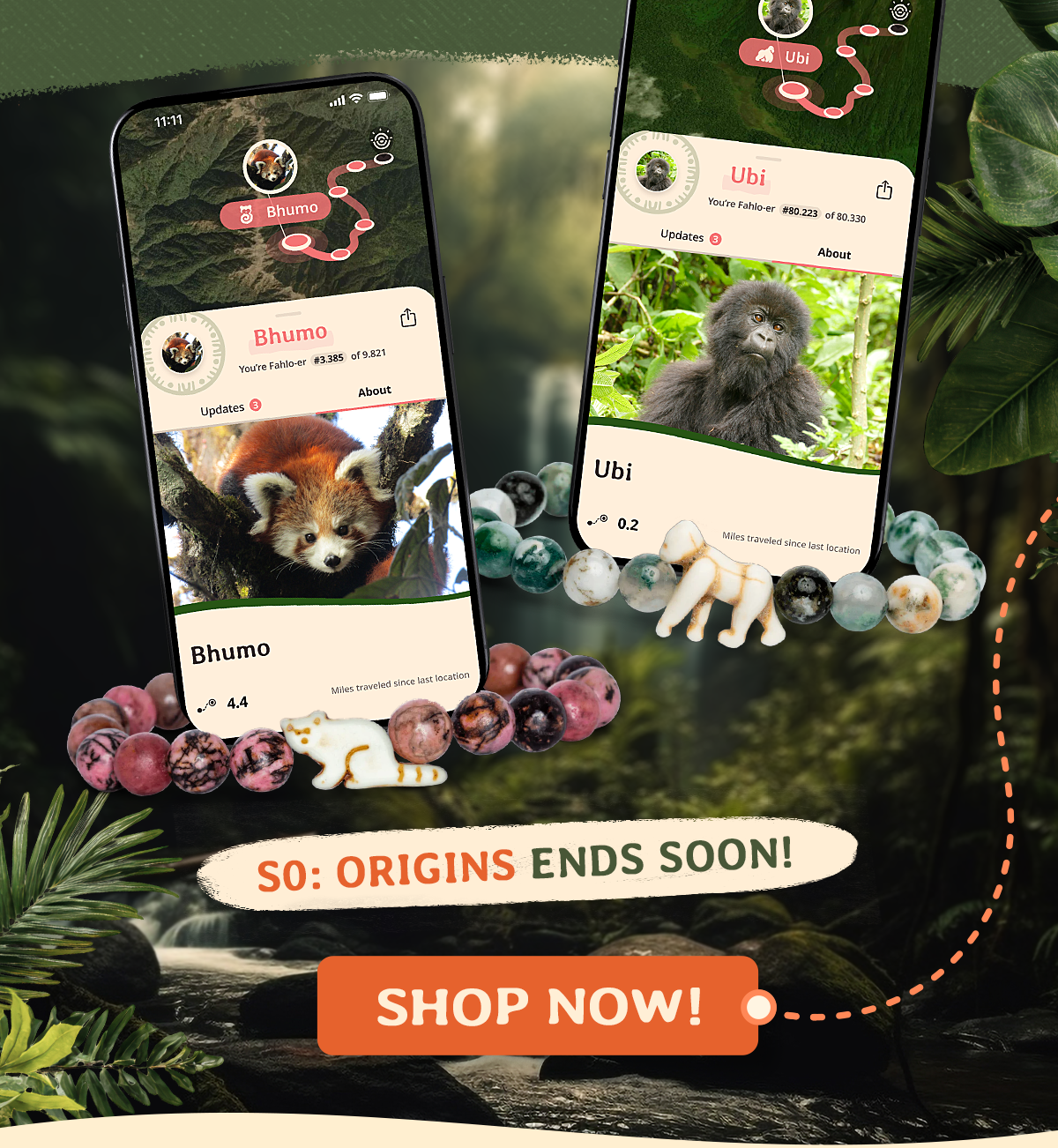 Season 0: Origins is ending soon, and two of our favorite forest dwellers are leaving the site. Shop a tracking bracelet now so you can follow a gorilla and a red panda long after they leave.