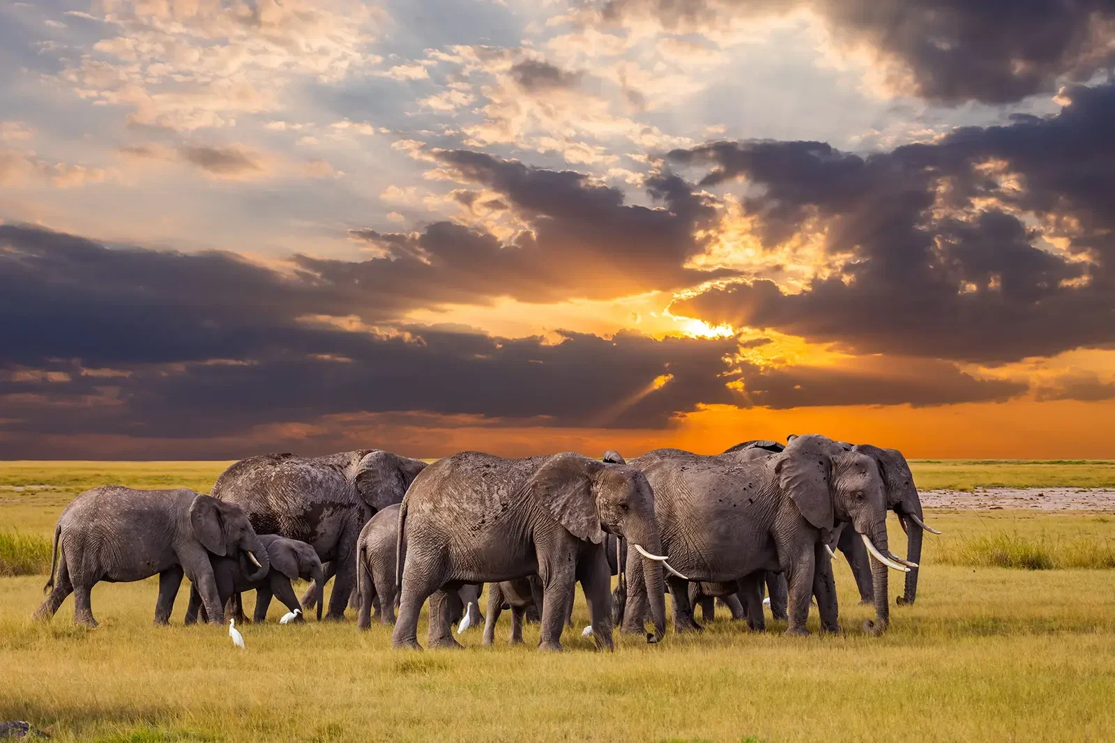 Tanzania Safari with Serengeti - Small Group