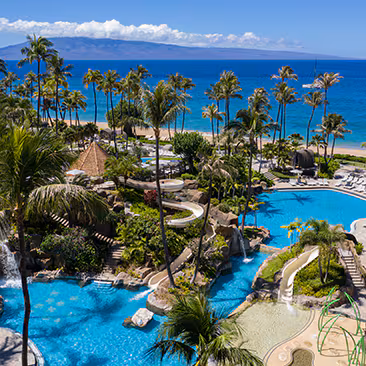 HOT BUY. Dominican Republic. Moon palace the grand package. All inclusive resort. two hundred dollar instant savings. three hundred fifty dollar resort credit. digital costco shop card. 5 nights or more. book by may twenty ninth, two thousand and twenty six.