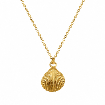 Sea Shell Necklace