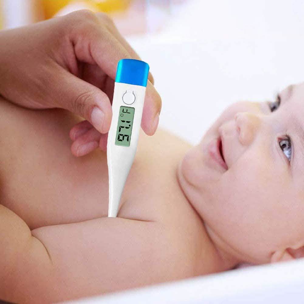 Image of LCD Digital Thermometer Fahrenheit °F High Precision Waterproof Thermometer