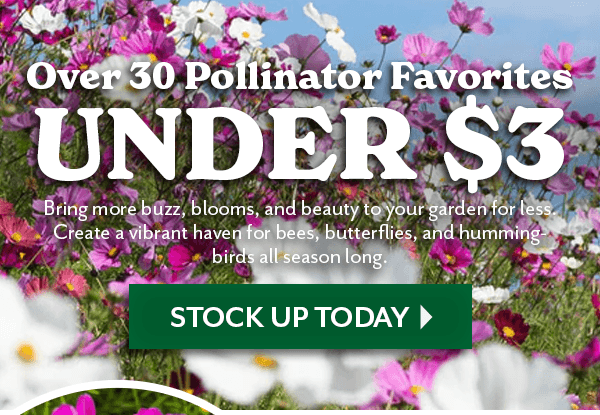 Over 30 Pollinator Favorites UNDER $3