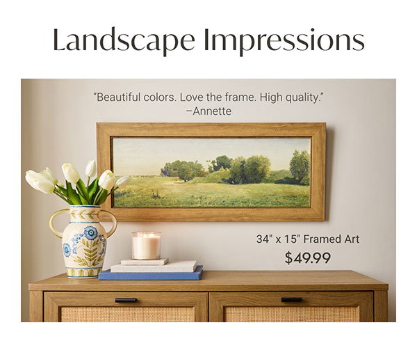 34" x 15" Framed Art
