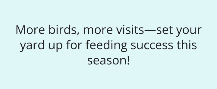 More birds, more visits,