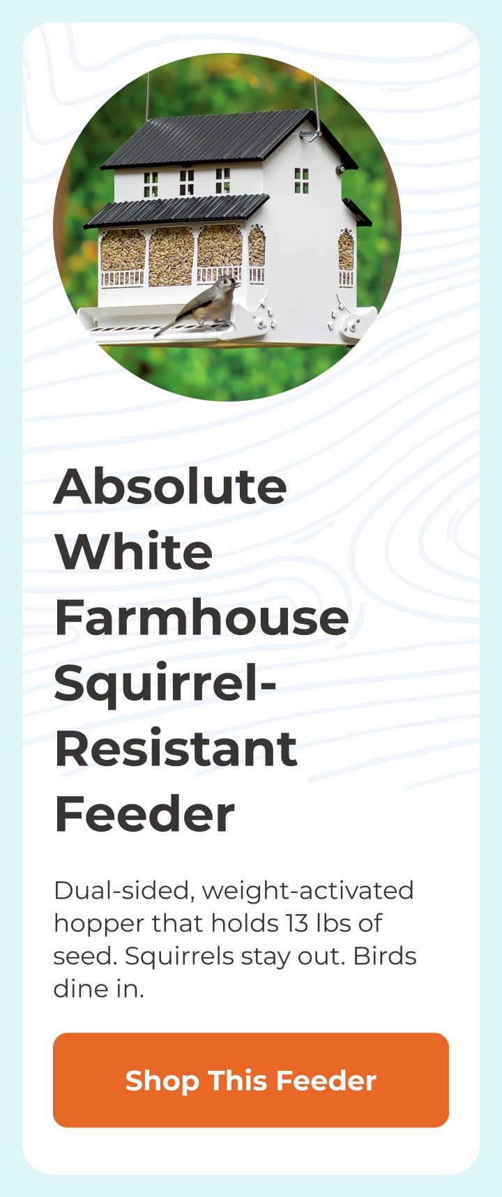 Absolute White Farmhouse 