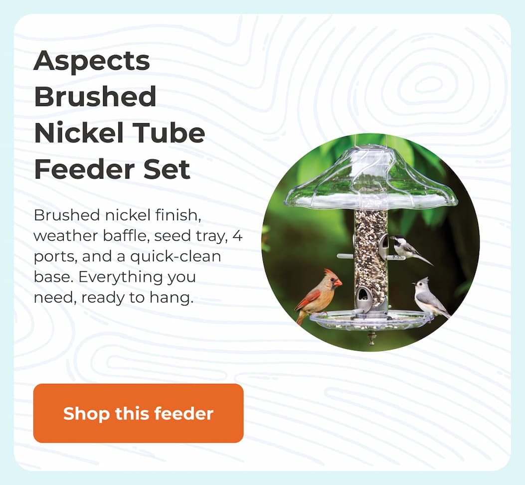 Aspects Brushed Nickel Tube Feeder Set