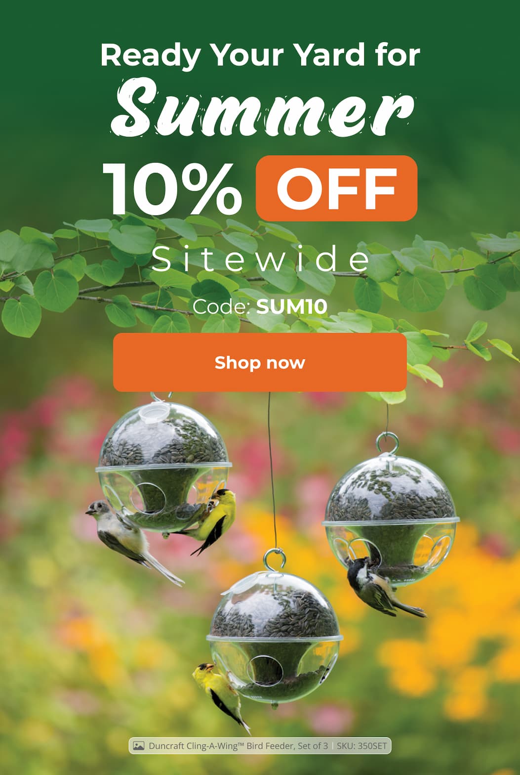 Ready Your Yard for Summer