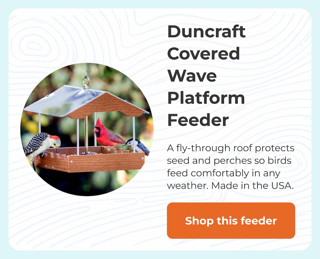 Duncraft Covered Wave Platform Feeder