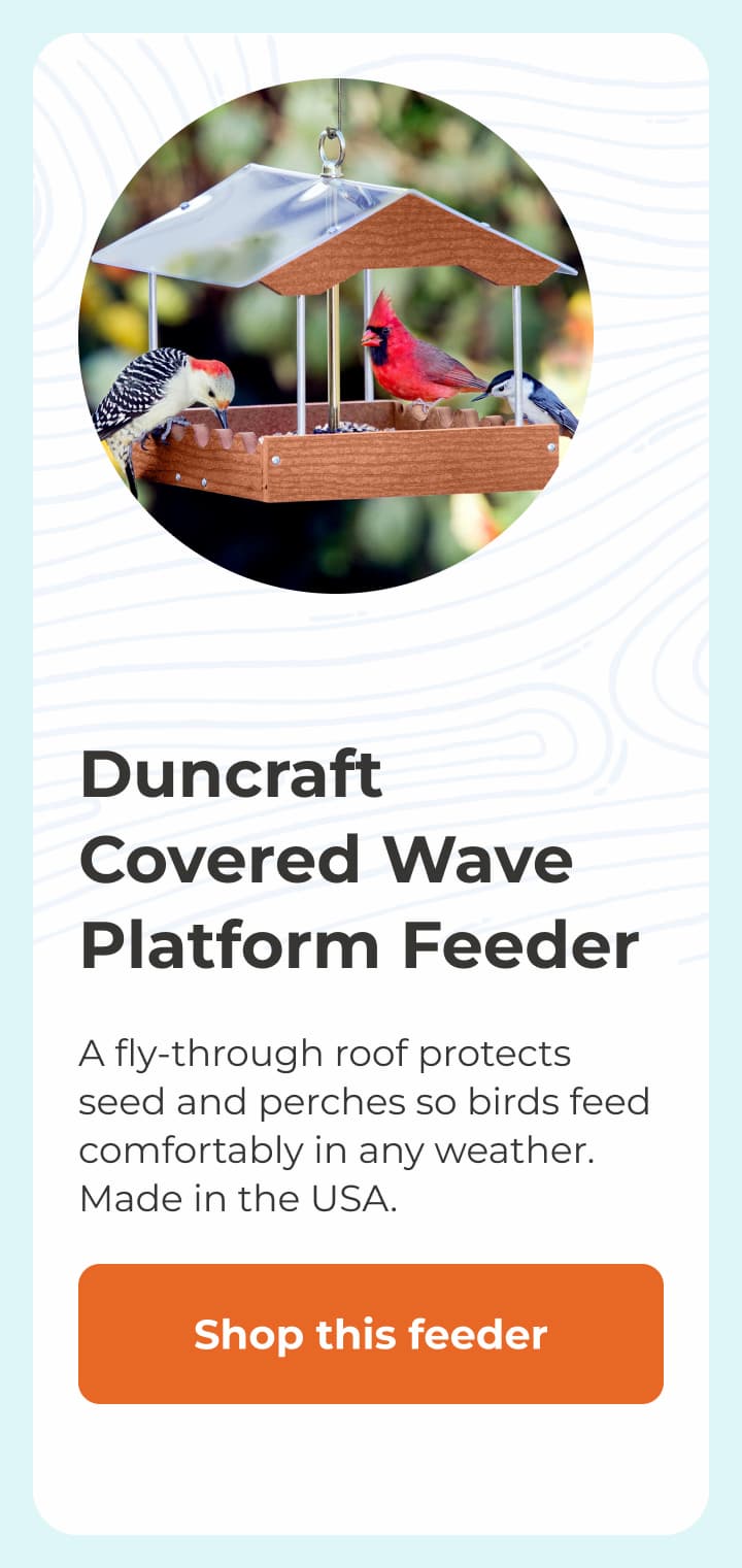Duncraft Covered Wave Platform Feeder