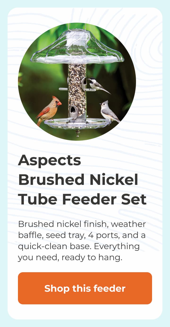 Aspects Brushed Nickel Tube Feeder Set