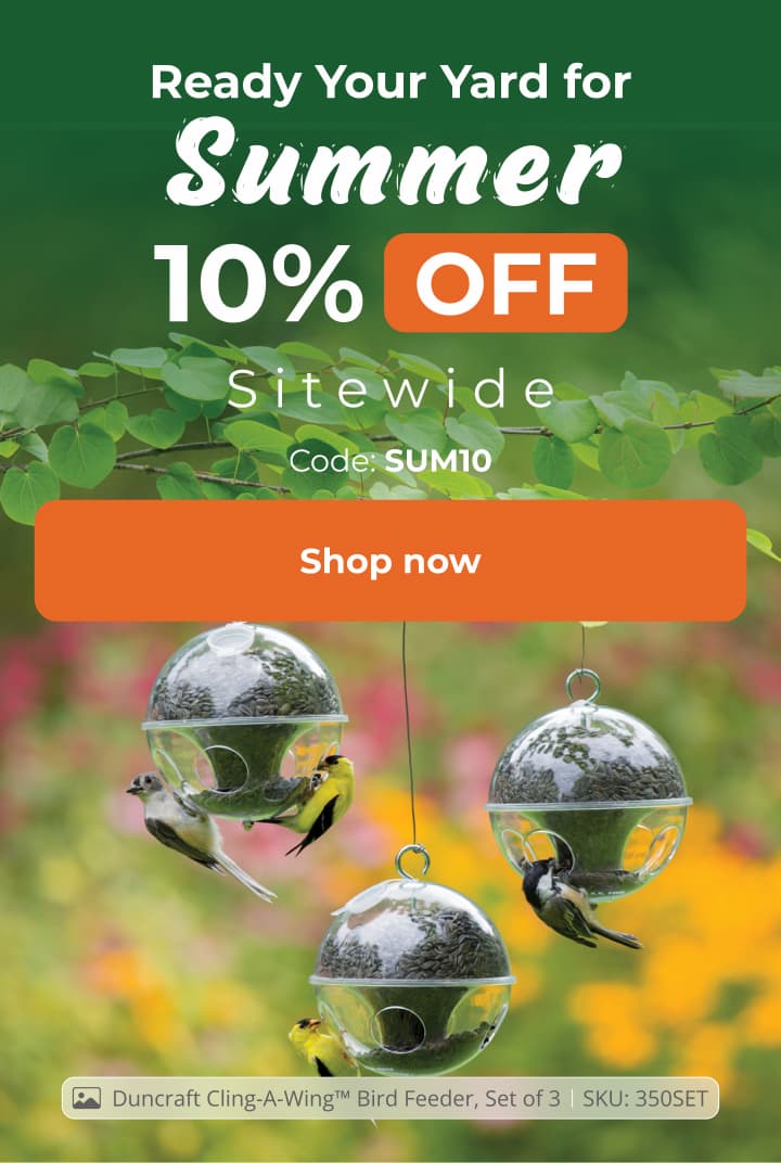 Ready Your Yard for Summer