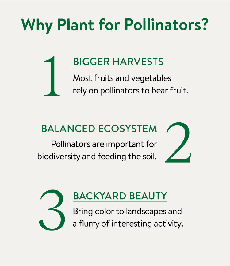 Hot a Pollinator Party
