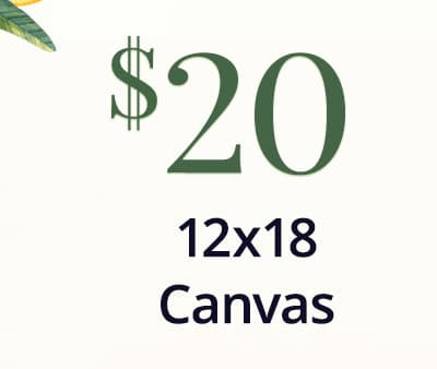 12x18 Canvas for $20
