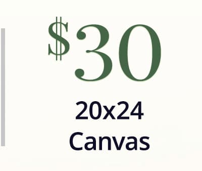 20x24 Canvas for $30