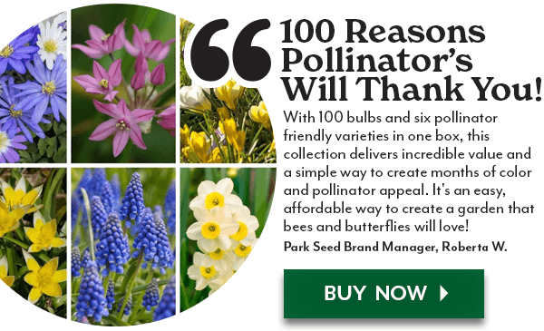 100 REASONS POLLINATOR'S WILL THANK YOU - Bees & Butterflies Bulbs Box Set