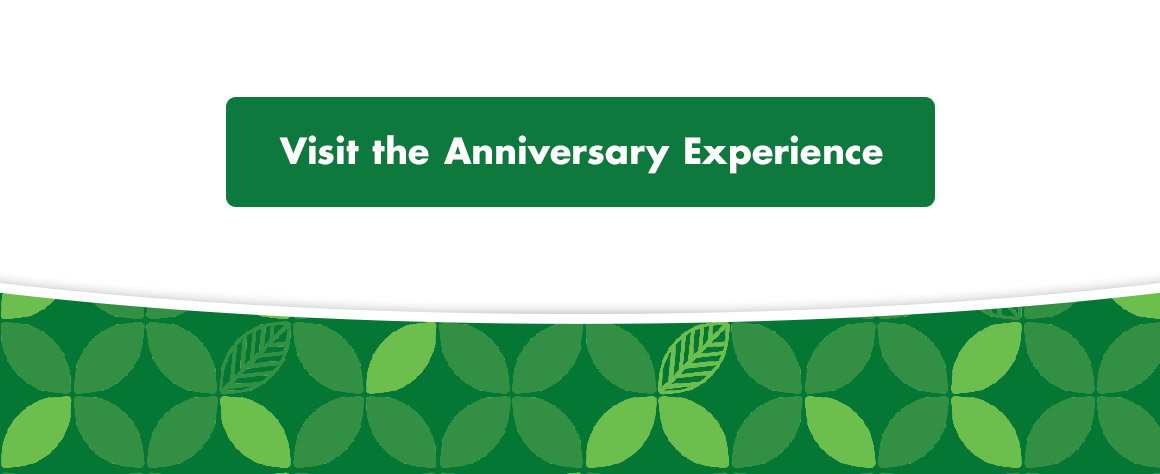 Visit the Anniversary Experience button