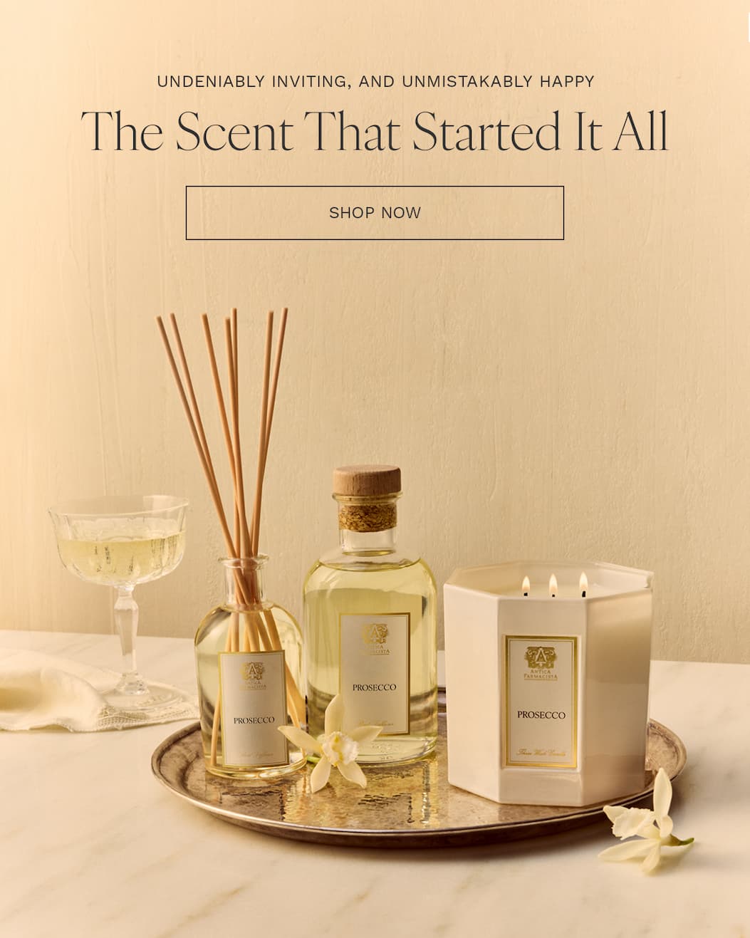 Your Guide to the World of Fragrance — Explore Now