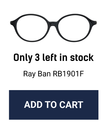 Ray Ban RB1901F. Add to Cart