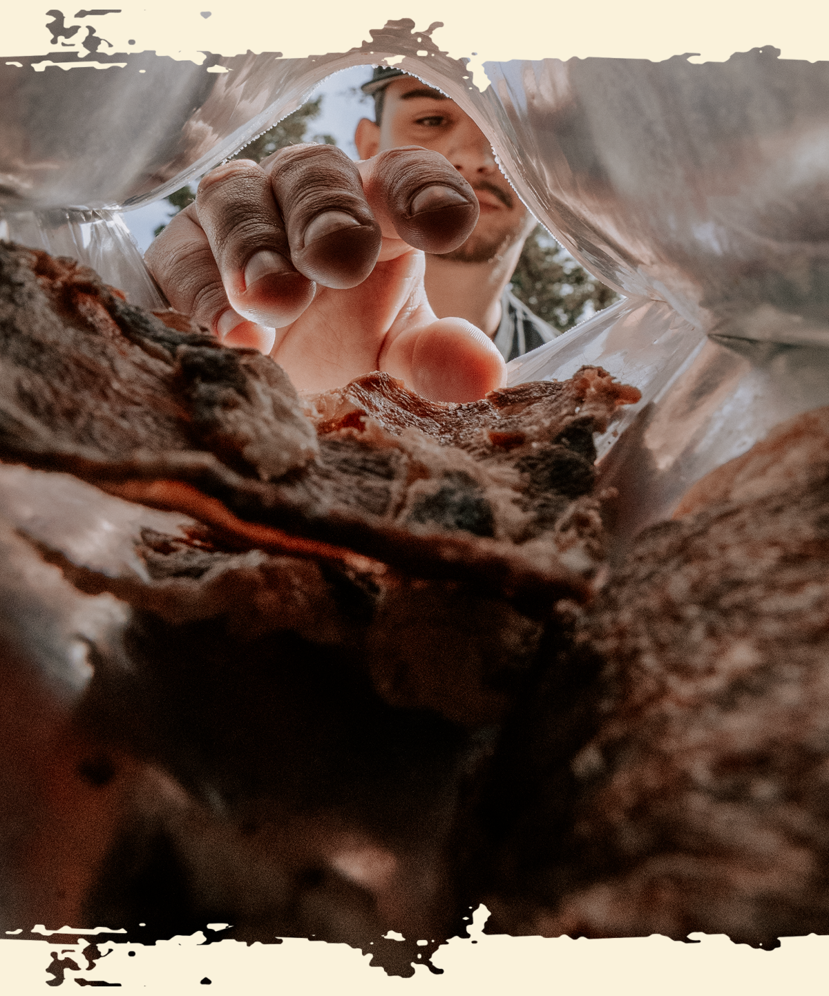 Carnivore Snax