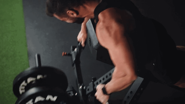 Titan Fitness
