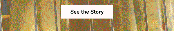 See the Story