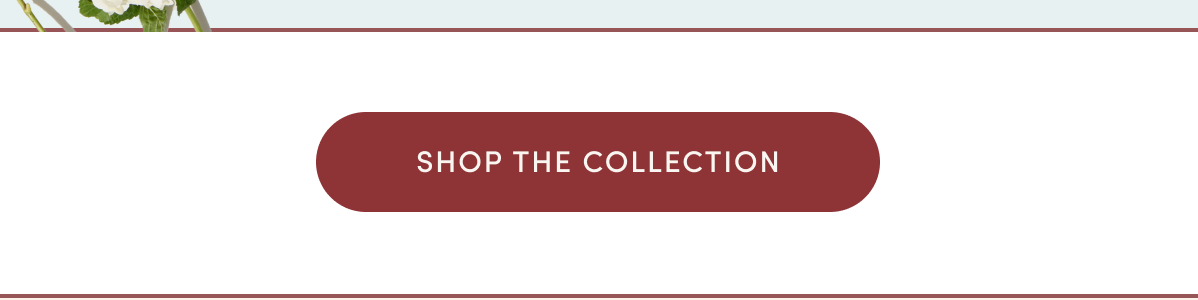 Shop The Collection