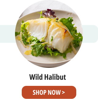 Wild Halibut  