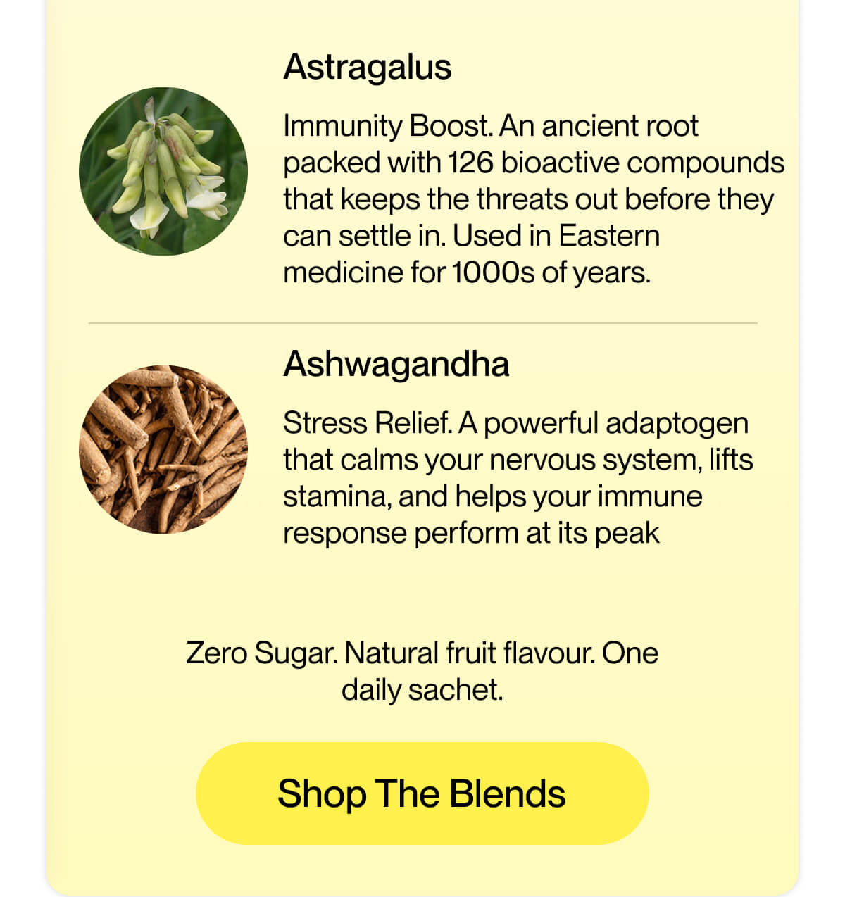 Astragalus