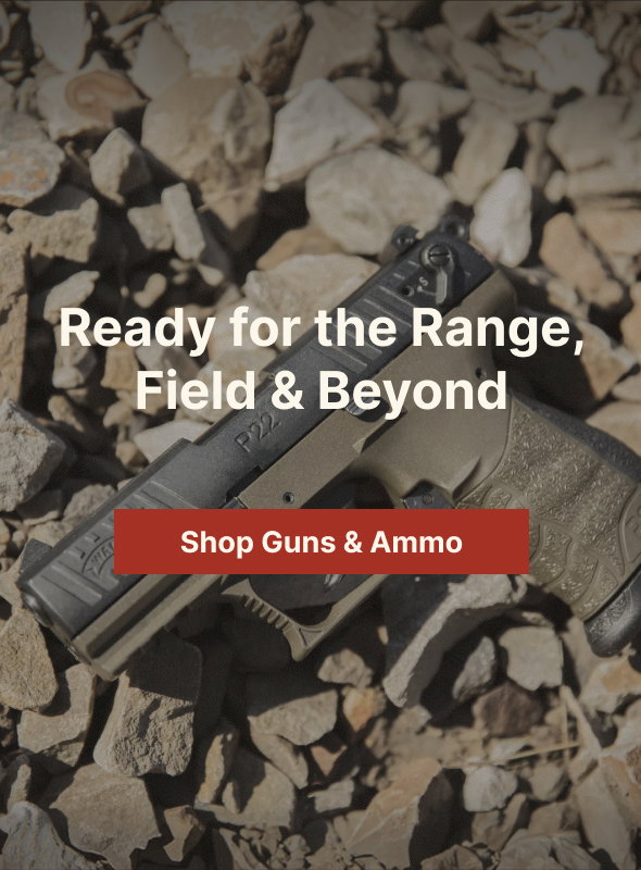Shop Guns & Ammo