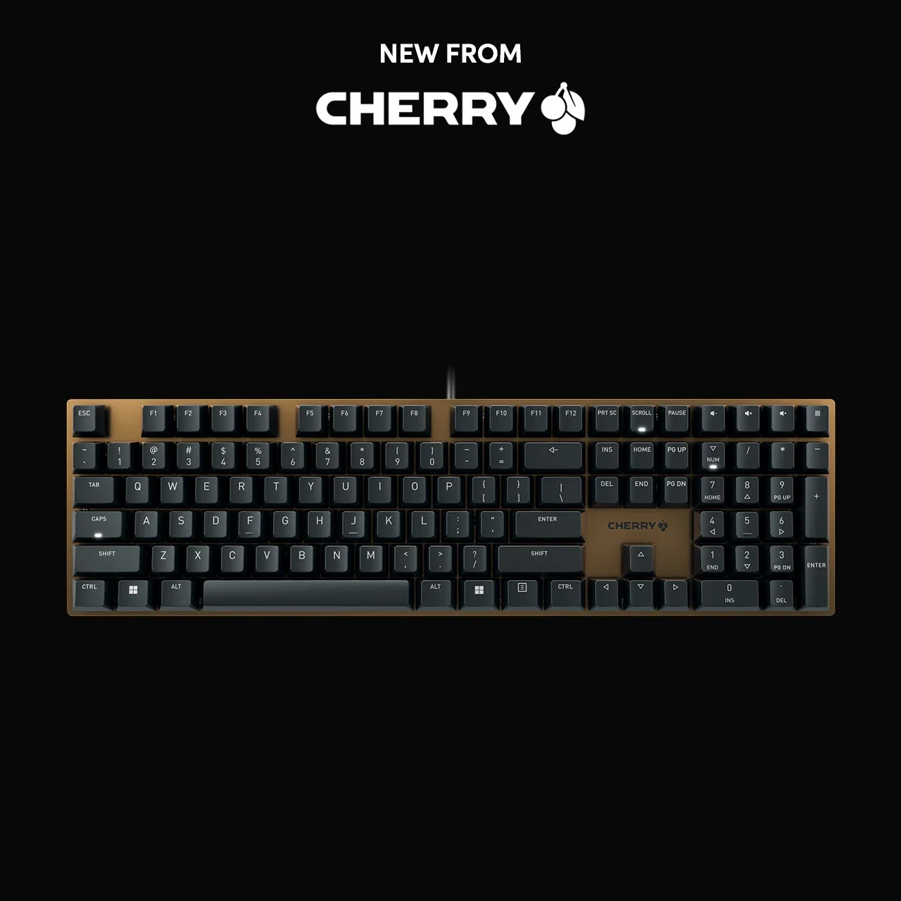 Sweetwater Welcomes Cherry