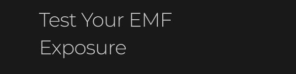 Test Your EMF Exposure