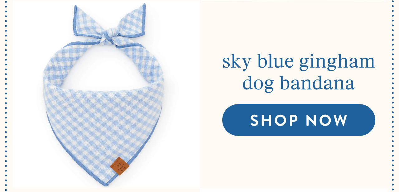 embroider blue gingham dog bandana 