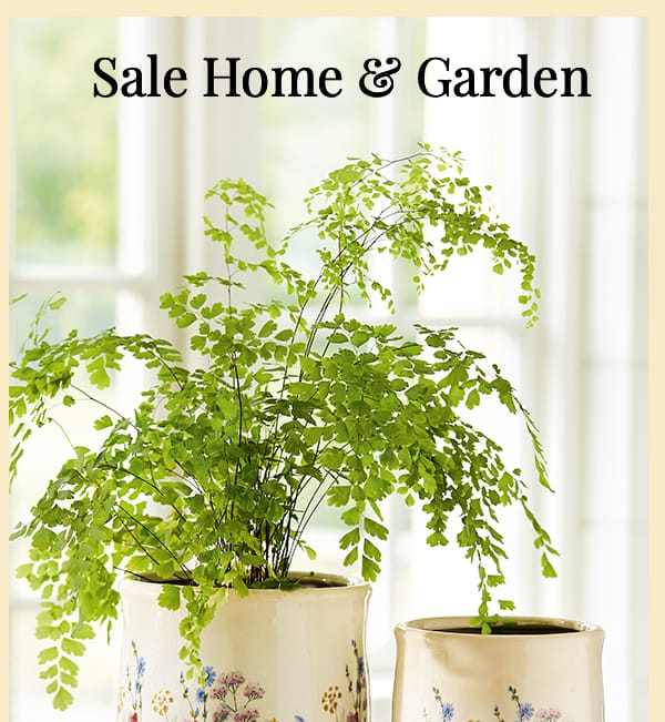 29991 Wildflower Planters £32.00 £21.99 