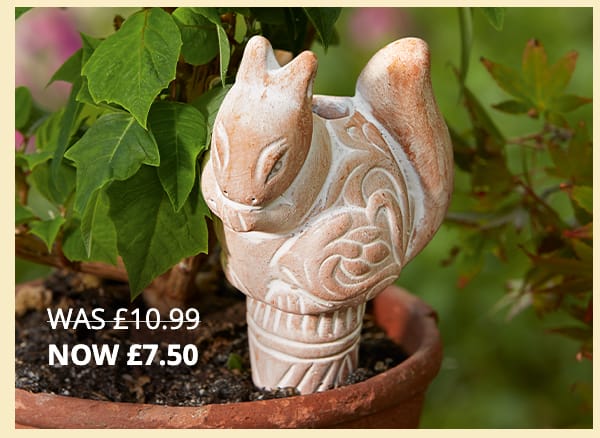 31042 Terracotta Squirrel Watering Spike £10.99 £7.50 