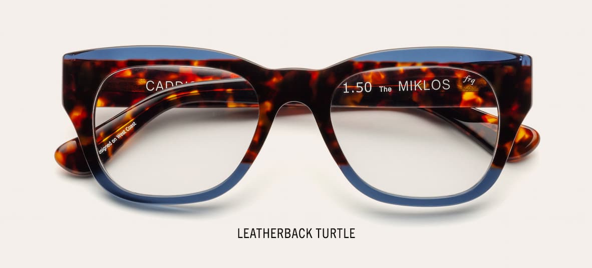 Leatherback Turtle 