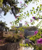 Sunny coastal town scene with historic stone walls framed by flowering branches and trees