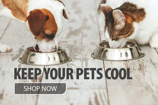 SHOP COOLING SUPPLIES NOW