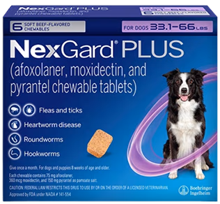 NexGard Plus