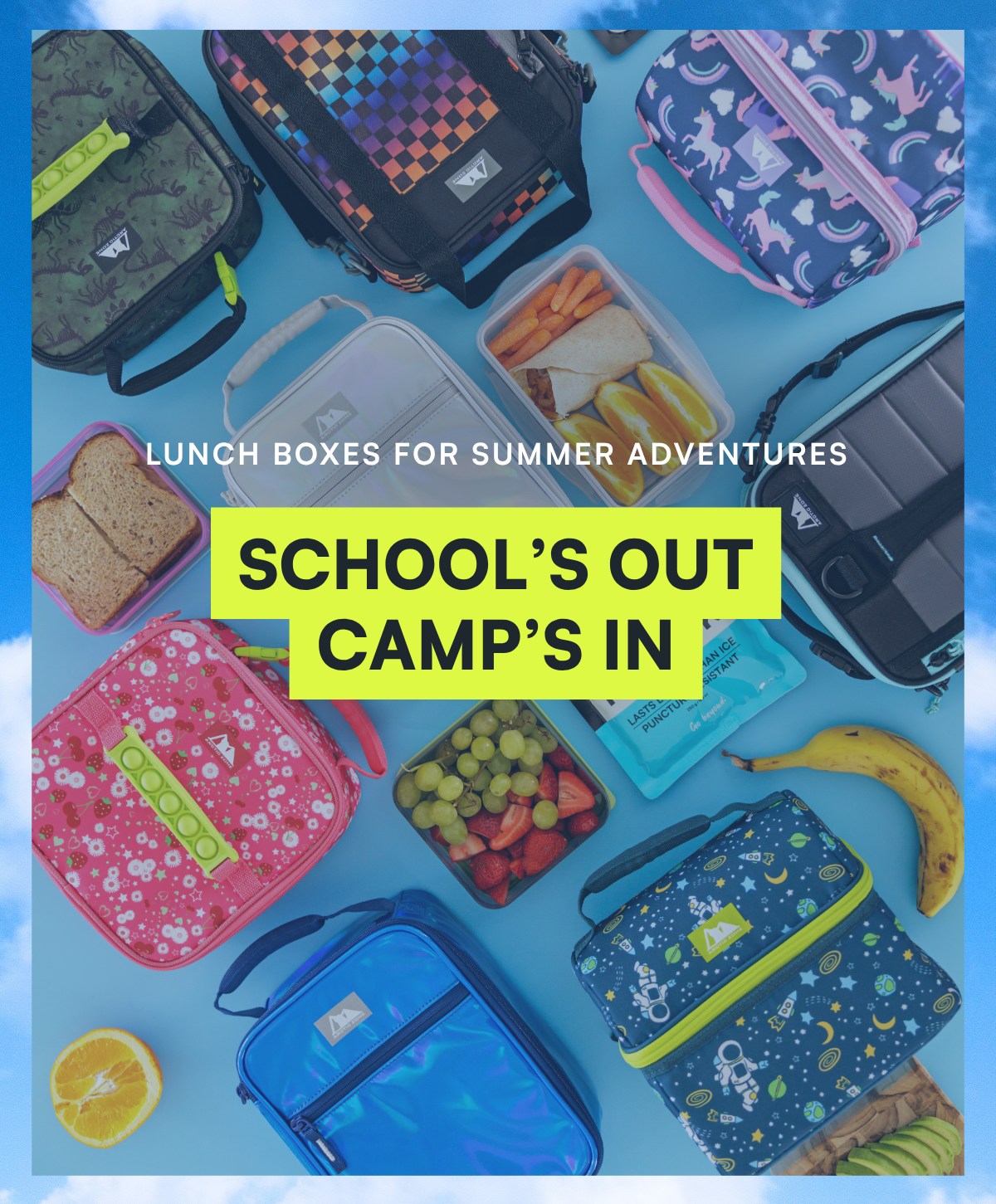 Lunch Boxes for Summer