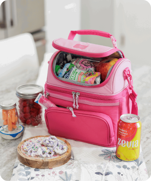 Fridge Cold Dual Compartment Lunch Pack