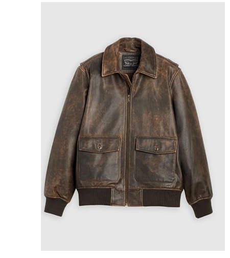 Levi's® Men's Clayton Leather Aviator Jacket