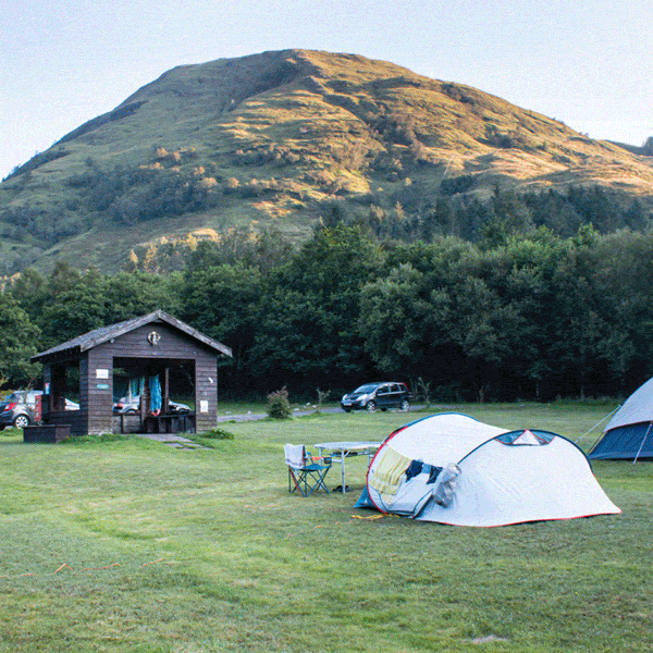 Camping site on a wide grassy field with several pitched tents of different sizes, including dome and family tents. A small wooden utility building sits near the centre, with parked cars nearby and camping gear such as folding chairs and a table set outside. Dense trees line the edge of the field, and a large sunlit mountain rises in the background under a clear sky.