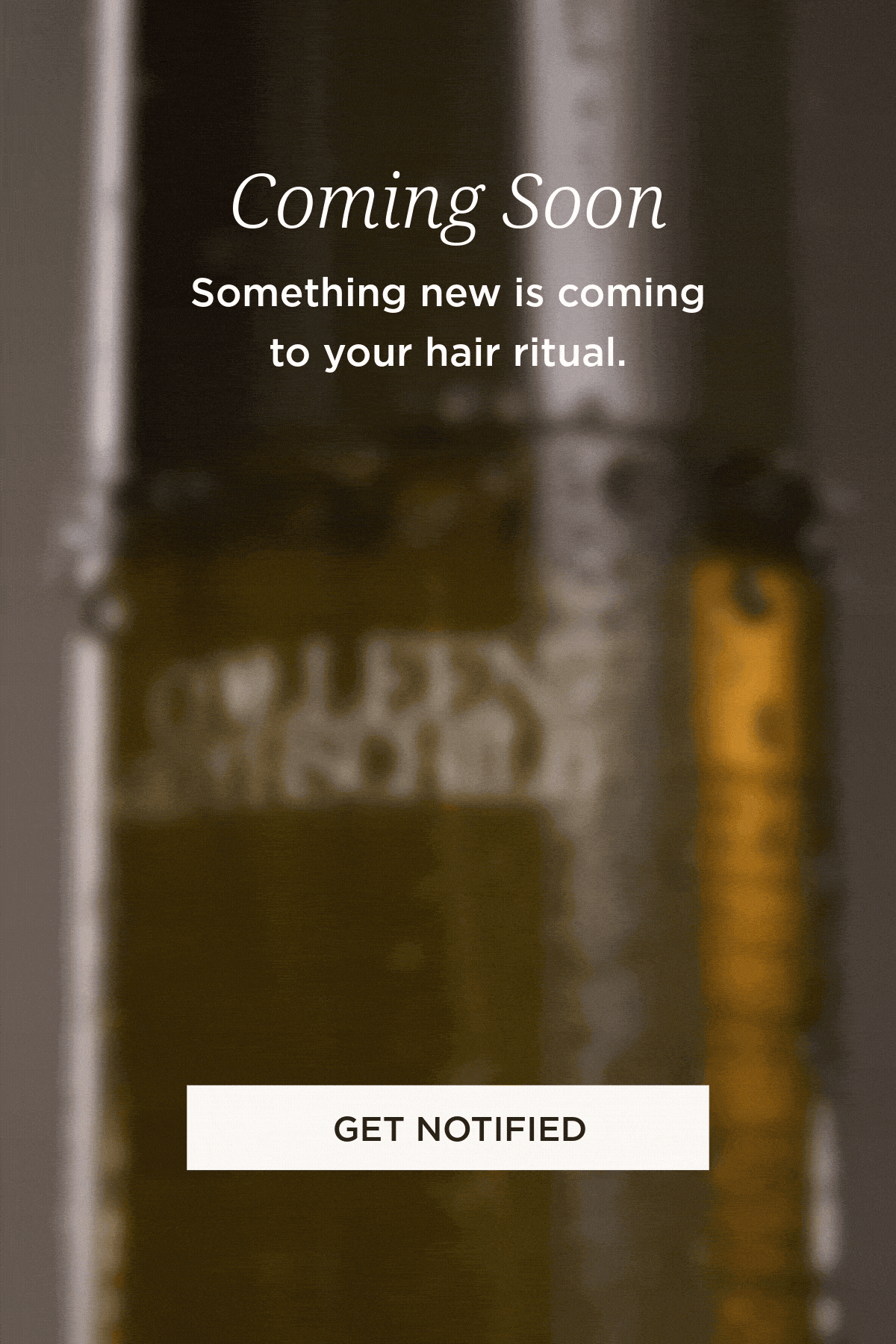 Something new is coming to your hair ritual 