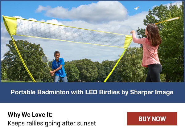 Portable Badminton with LED Birdies by Sharper Image