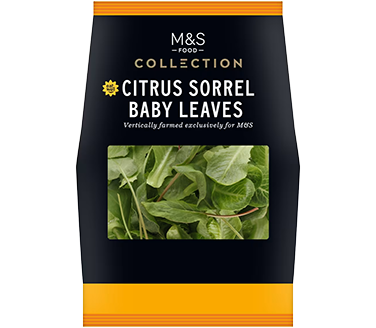 Collection Citrus Sorrel Baby Leaves