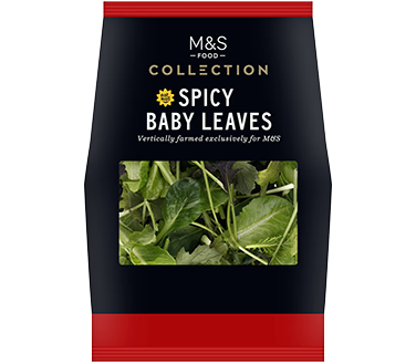 Collection Spicy Baby Leaves