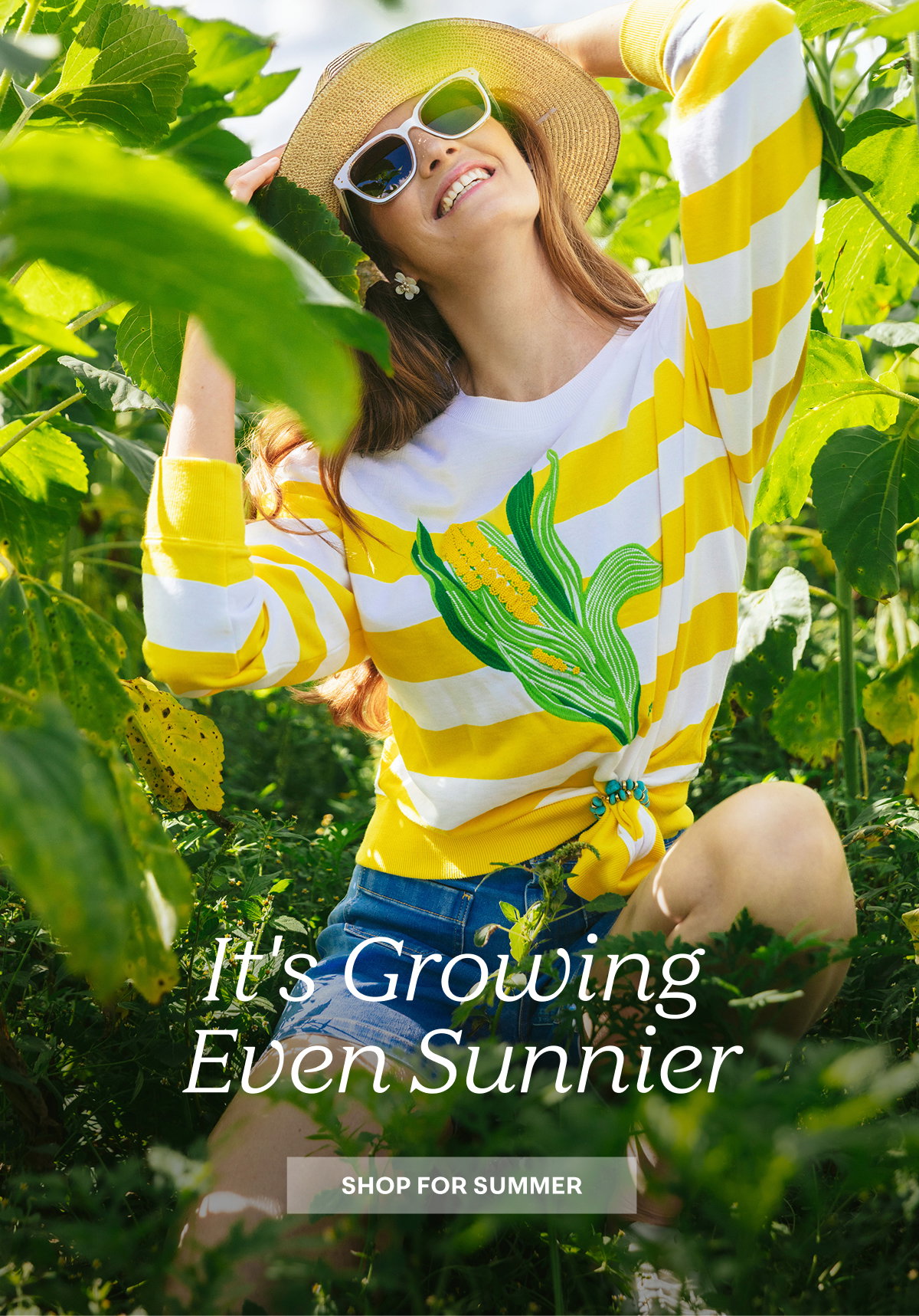 It's Growing Even Sunnier