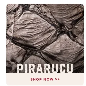 PIRARUCU