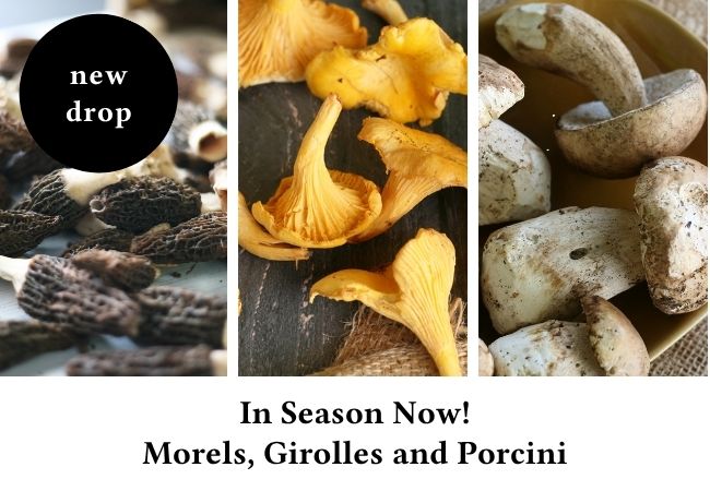 It's the season: Girolles, at their best!